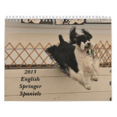 2013 englischer Springer-Spaniels Kalender (Titelbild)
