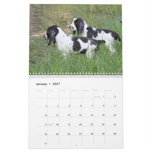 2013 englischer Springerspaniel-Welpen Kalender (Jan 2027)