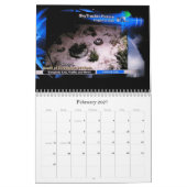 2013 - FW-Schmutz-Kalender Kalender (Feb 2027)