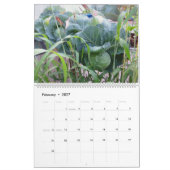 2013 Garten-Pool-Kalender - groß Kalender (Feb 2027)
