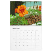 2013 Garten-Pool-Kalender - groß Kalender (Mär 2027)