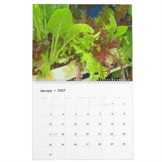 2013 Garten-Pool-Kalender - groß Kalender (Jan 2027)