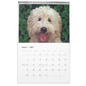 2013 großer Hundekalender Kalender (Mär 2027)