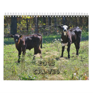 2013 Kälber Kalender