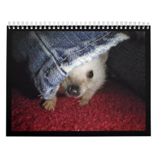 2013 Kalender 2
