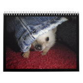 2013 Kalender 2 (Titelbild)