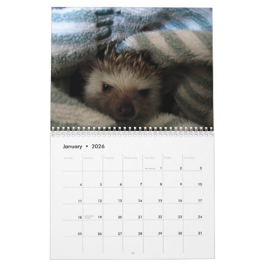 2013 Kalender 2 (Jan 2026)