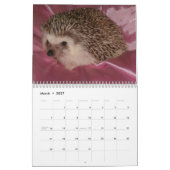 2013 Kalender 2 (Mär 2027)