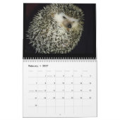 2013 Kalender 2 (Feb 2027)