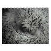 2013 Kalender 3 (Titelbild)