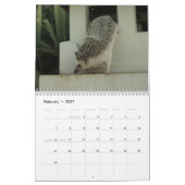 2013 Kalender 3 (Feb 2027)