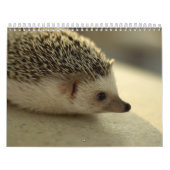 2013 Kalender 4 (Titelbild)