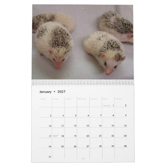2013 Kalender 4 (Jan 2027)