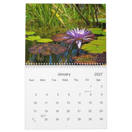 2013 Kalender - die Shotwell Sammlung I (Jan 2027)