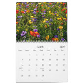 2013 Kalender - die Shotwell Sammlung I (Mär 2027)