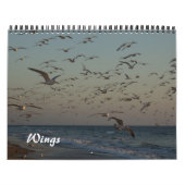 2013 Kalender - Flügel (Titelbild)