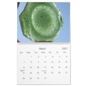 2013 Kalender - Frameable Fotos (Mär 2027)