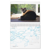 2013 Kalender - fünf Geldstrafe Felines (Mär 2026)