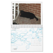 2013 Kalender - fünf Geldstrafe Felines (Feb 2026)