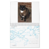 2013 Kalender - fünf Geldstrafe Felines (Jan 2026)