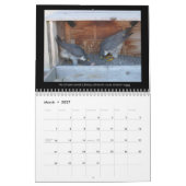 2013 Kalender - Hauptnocken-Bilder (Mär 2027)