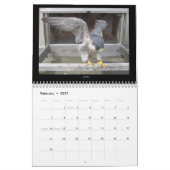 2013 Kalender - Hauptnocken-Bilder (Feb 2027)