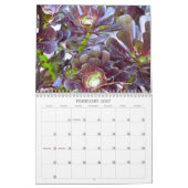 2013 Kalender - Natur (Feb 2027)