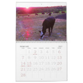 2013 Kuh-Kalender Kalender (Feb 2027)