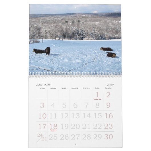 2013 Kuh-Kalender Kalender (Jan 2027)