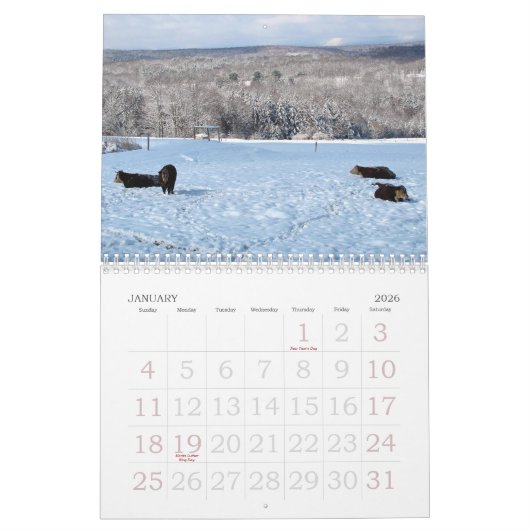 2013 Kuh-Kalender Kalender (Jan 2026)