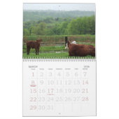 2013 Kuh-Kalender Kalender (Mär 2026)