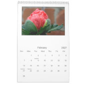 2013 - Mohnblumenkalender Kalender (Feb 2027)