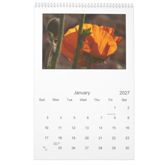 2013 - Mohnblumenkalender Kalender (Jan 2027)