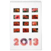 2013 - Mohnblumenkalender Kalender (Titelbild)