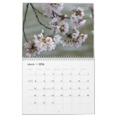 2013 (nicht 2025) DC Cherry Blossom Kalender (Mär 2026)