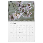 2013 (nicht 2025) DC Cherry Blossom Kalender (Mär 2027)
