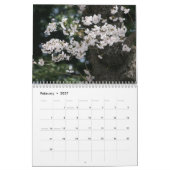 2013 (nicht 2025) DC Cherry Blossom Kalender (Feb 2027)