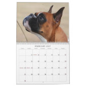 2013 Show-Boxer-Kalender Kalender (Feb 2027)