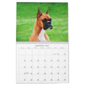 2013 Show-Boxer-Kalender Kalender (Jan 2027)