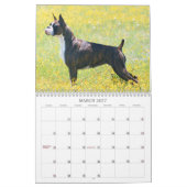 2013 Show-Boxer-Kalender Kalender (Mär 2027)