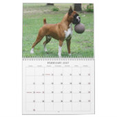 2013 Show-Boxer-Kalender Kalender (Feb 2027)