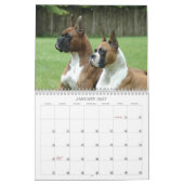 2013 Show-Boxer-Kalender Kalender (Jan 2027)
