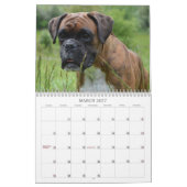 2013 Show-Boxer-Kalender Kalender (Mär 2027)