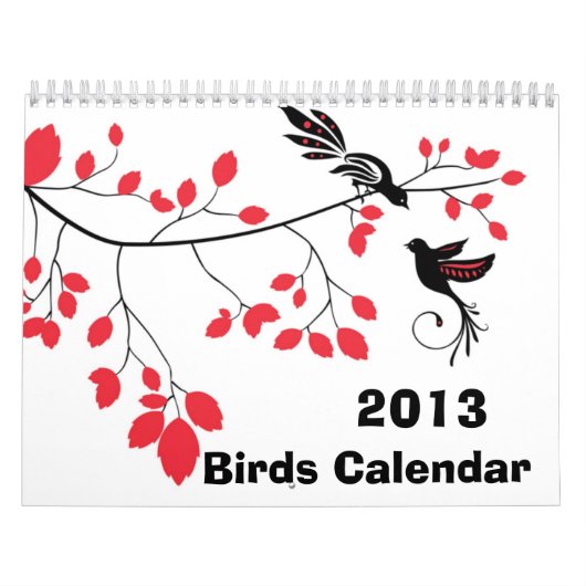 2013 Vögel ~ Wandkalender (Titelbild)