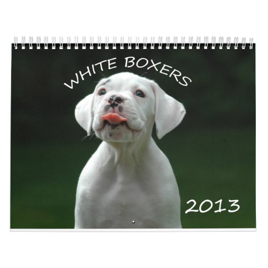 2013 Weiß-Boxer-Kalender Kalender (Titelbild)