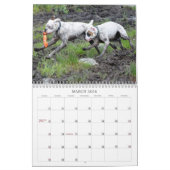 2013 Weiß-Boxer-Kalender Kalender (Mär 2026)