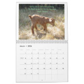 2013 Ziegenkalender Schöne Ziegen EngelZiegen Kalender (Mär 2026)