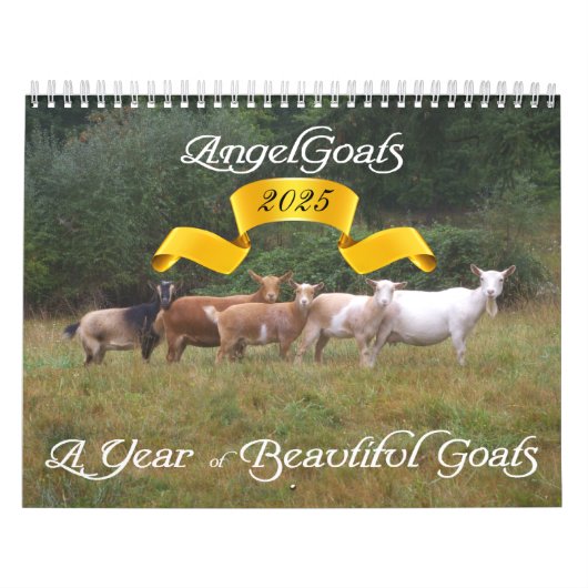 2013 Ziegenkalender Schöne Ziegen EngelZiegen Kalender (Titelbild)