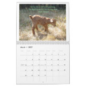 2013 Ziegenkalender Schöne Ziegen EngelZiegen Kalender (Mär 2027)