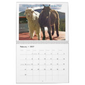 2013 Ziegenkalender Schöne Ziegen EngelZiegen Kalender (Feb 2027)